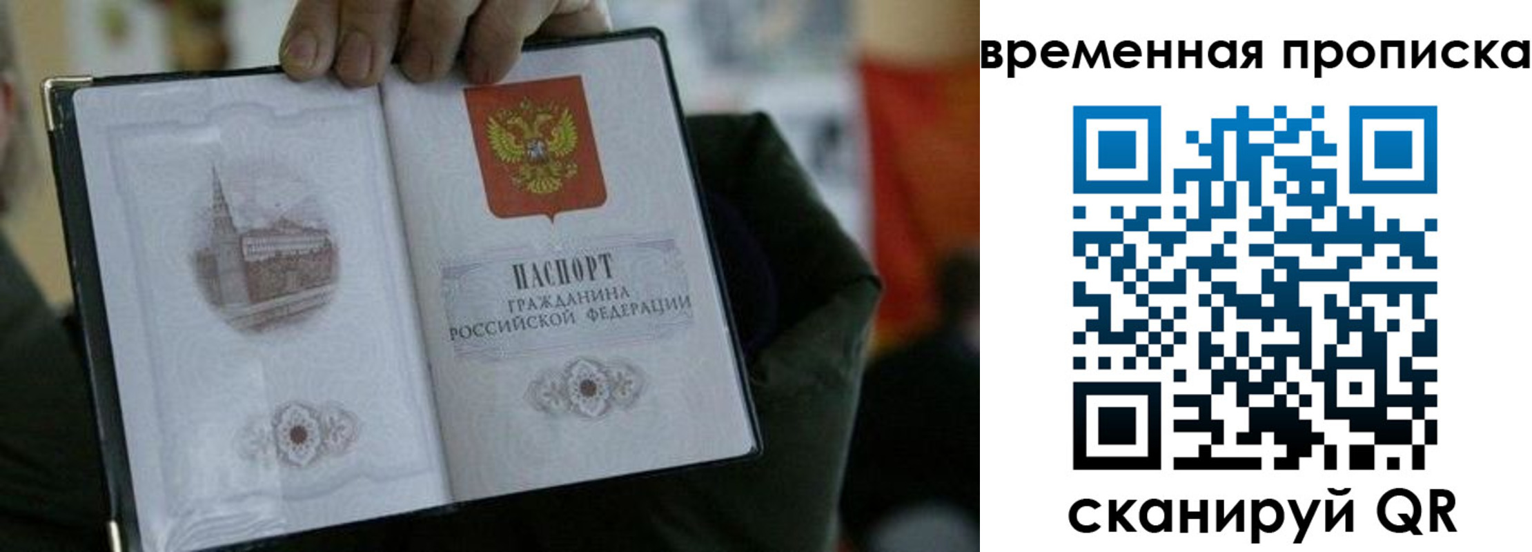 найти адрес прописки в Светлогорске